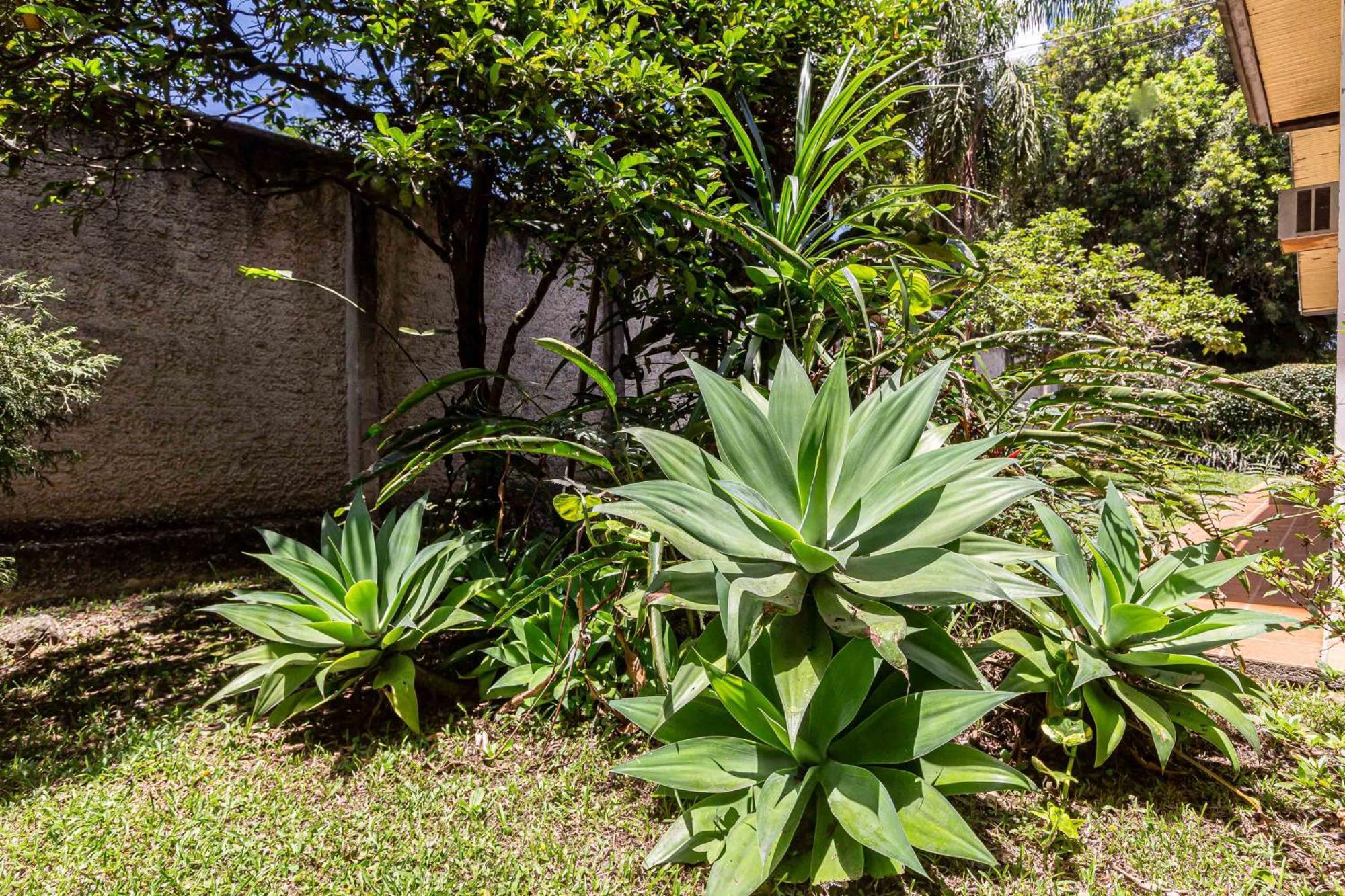Memora Guesthouse Curitiba - Quartos Em Casa Proximo Ao Parque Bacacheri Esterno foto